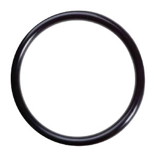 O-RING RINGS FOR WH20 WHOLE HOUSE SYSTEM HOUSING BIG BLUE 20" O-RING RINGS FOR WH20 WHOLE HOUSE SYSTEM HOUSING BIG BLUE 20"